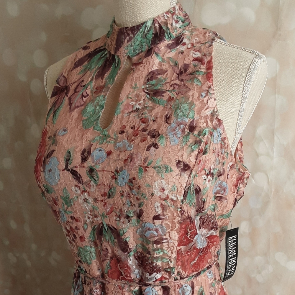 Blush Floral Lace NY&Co. Spring Dress NWT